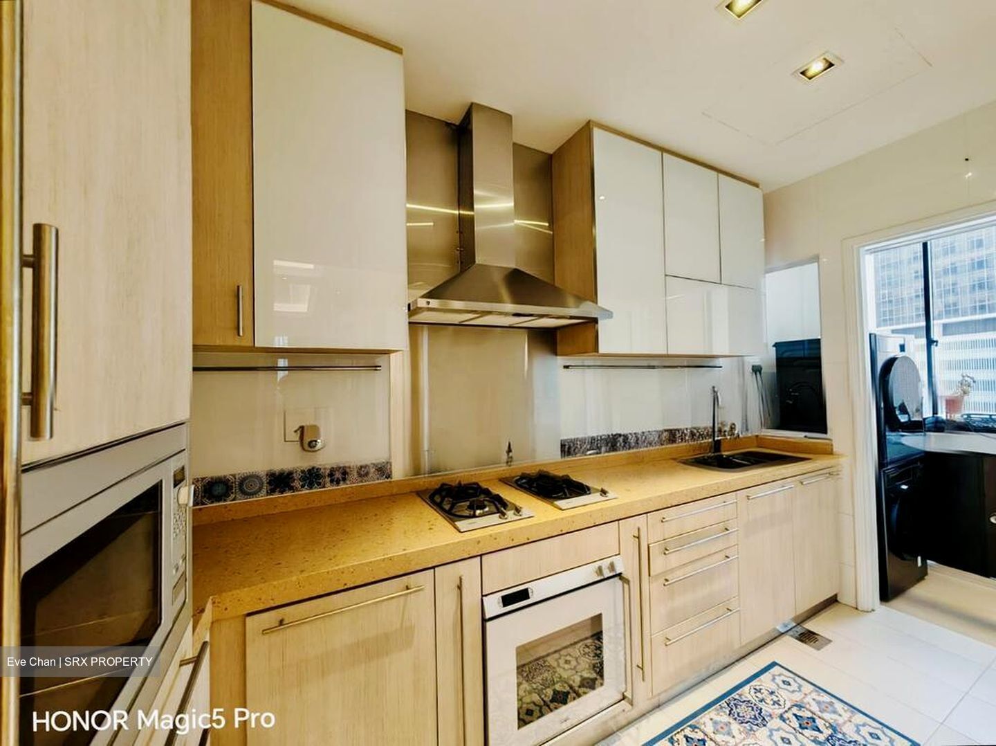 Richmond Park (D9), Condominium #523053811